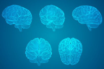 、为什么说旅游使人们产生了“空间距离”和“时间距离“,其依据是什么-