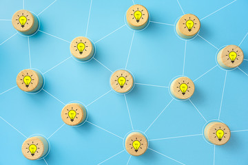 目前栽培的景天类花卉种类都有什么？