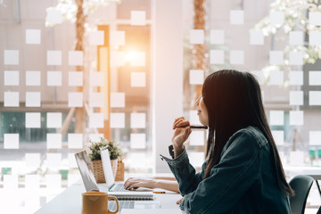 目前栽培的景天类花卉种类都有什么？