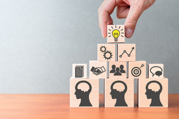 目前栽培的景天类花卉种类都有什么？