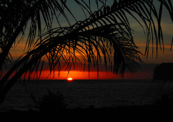 医疗器械龙头股排名