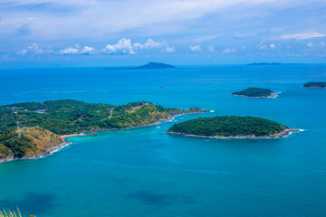 目前栽培的景天类花卉种类都有什么？