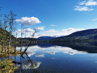 电脑无法进入桌面