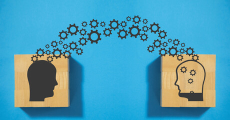 目前栽培的景天类花卉种类都有什么？