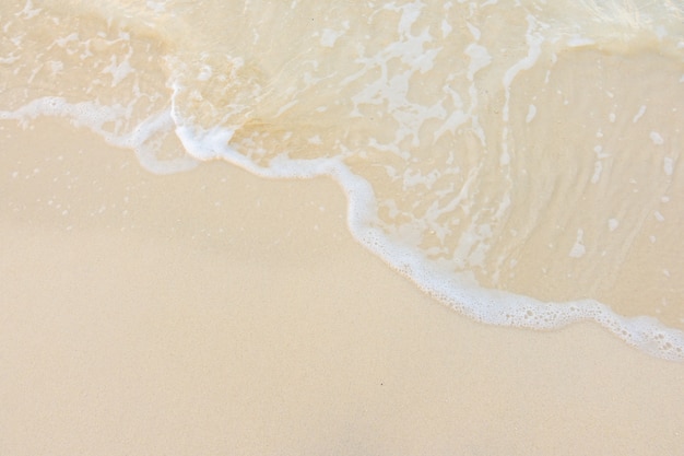 影视考研学校排名