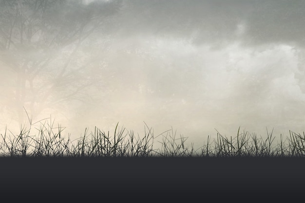 甘肃省专科院校有哪些？