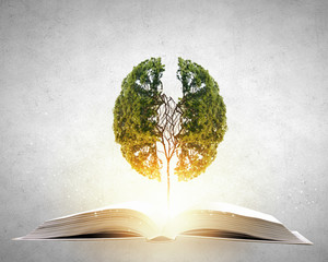 天津盛世华森艺人影视文化传媒有限公司怎么样？