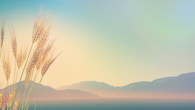 合肥旅游站到石牌的大巴合肥汽车站到石牌