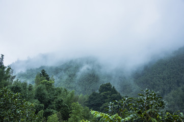 、为什么说旅游使人们产生了“空间距离”和“时间距离“,其依据是什么-